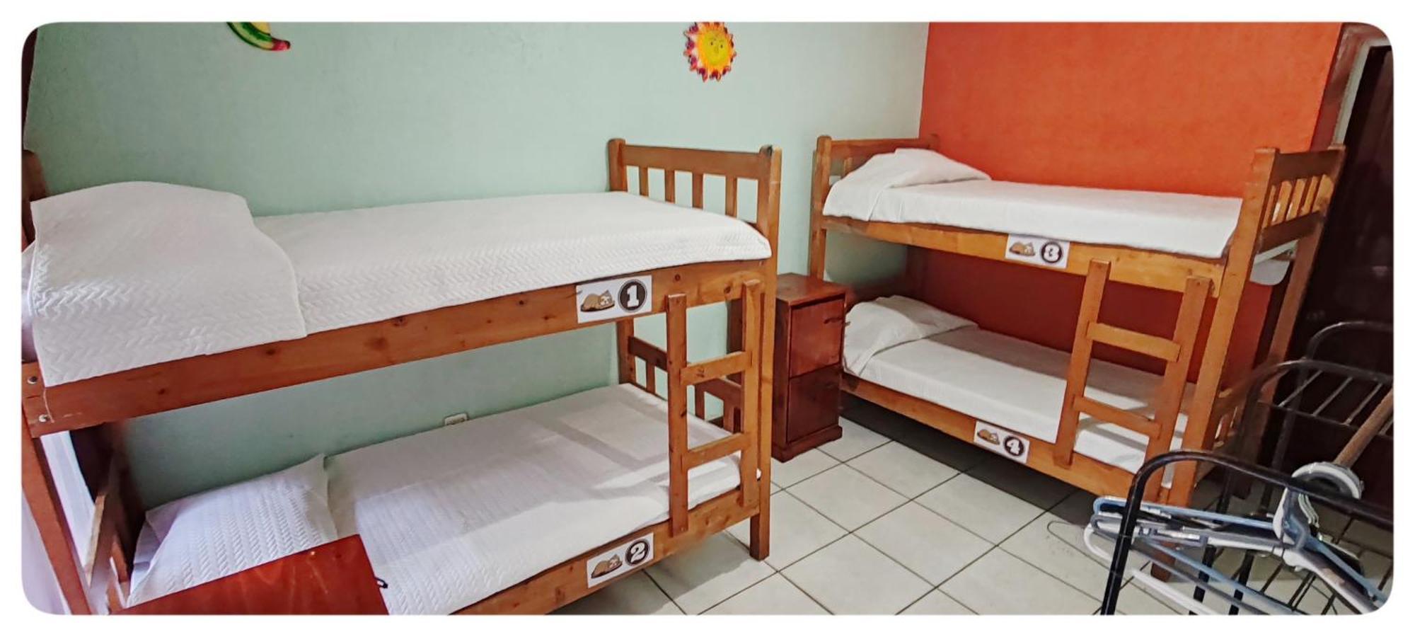 Hotel & Hostel Sloth Backpackers Monteverde Екстериор снимка