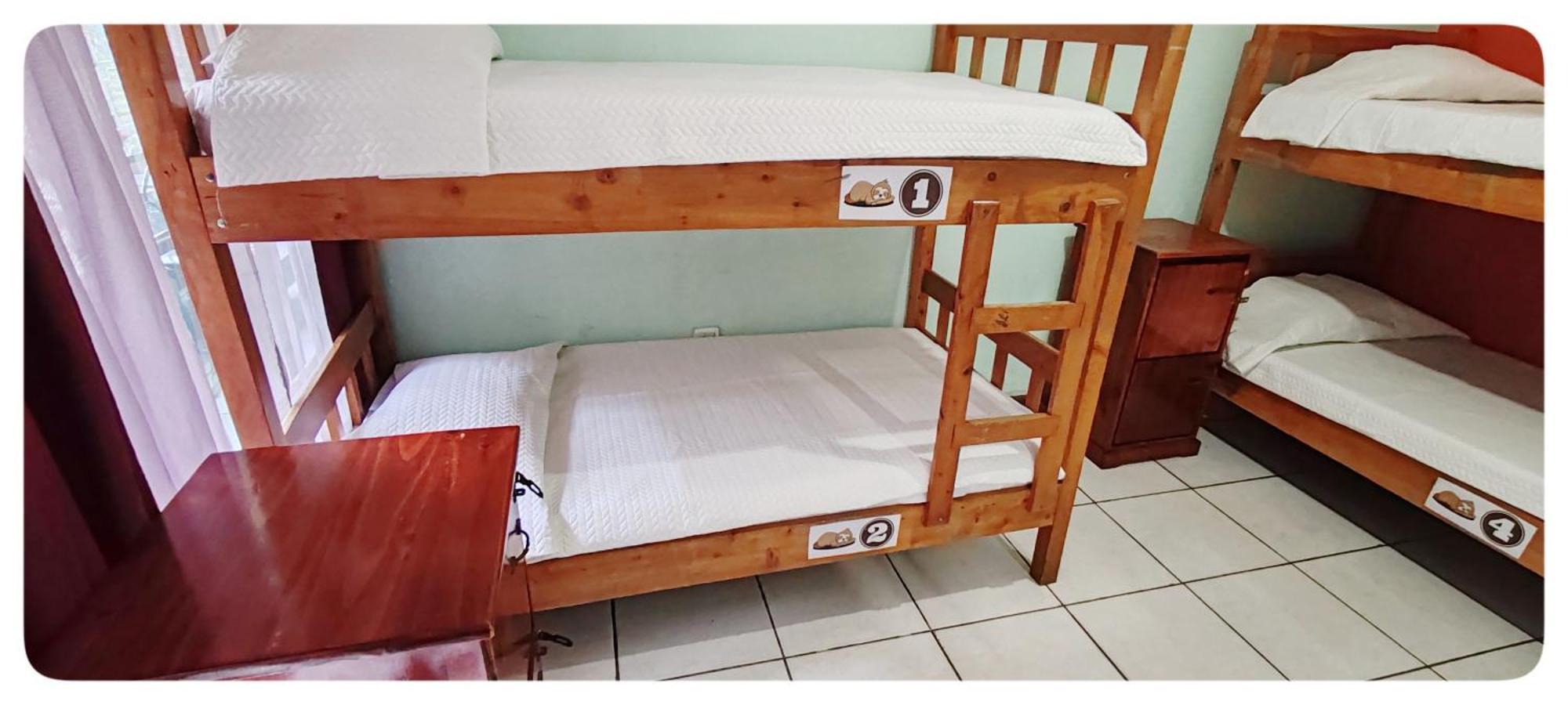 Hotel & Hostel Sloth Backpackers Monteverde Екстериор снимка